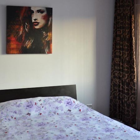 Vila Cu Trandafiri Cozy Apartments 2 Camere Bragadiru Eksteriør billede