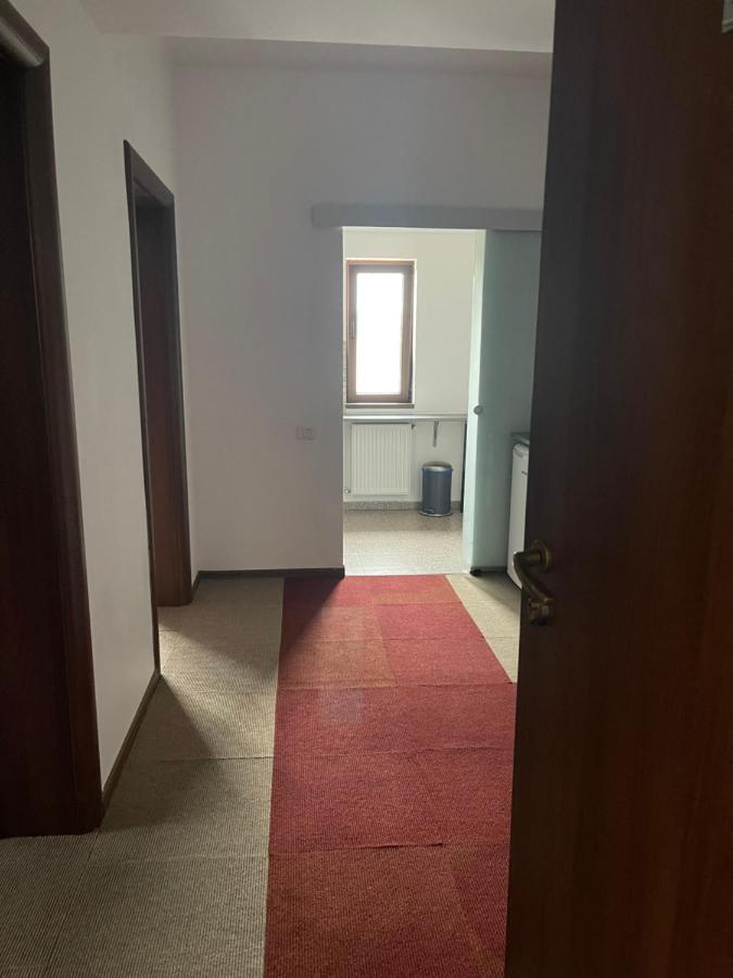 Vila Cu Trandafiri Cozy Apartments 2 Camere Bragadiru Eksteriør billede