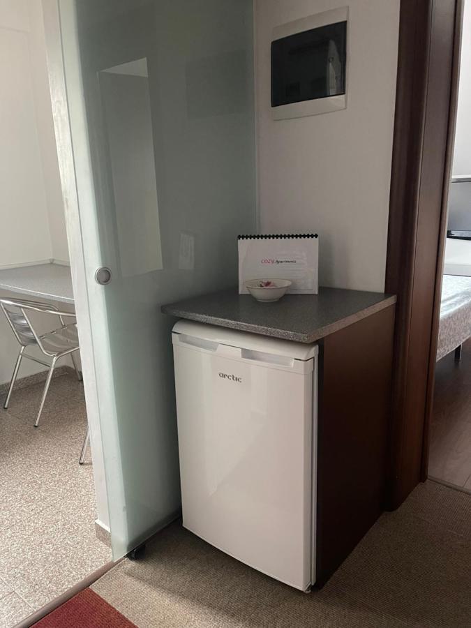 Vila Cu Trandafiri Cozy Apartments 2 Camere Bragadiru Eksteriør billede